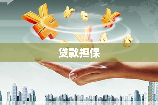 师宗贷款担保