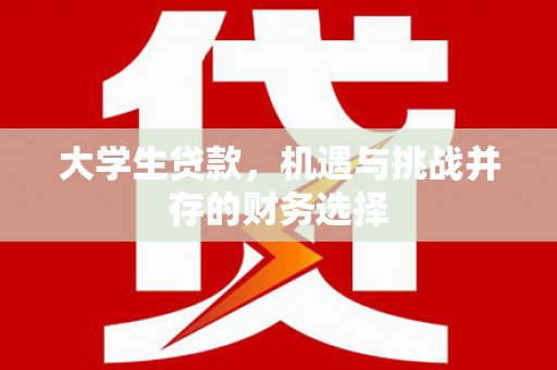师宗大学生贷款，机遇与挑战并存的财务选择