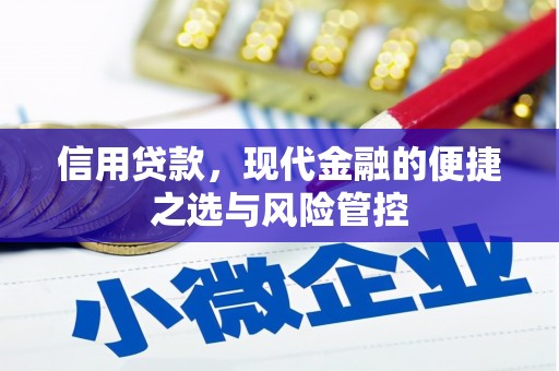师宗信用贷款，现代金融的便捷之选与风险管控