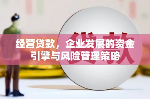 师宗经营贷款，企业发展的资金引擎与风险管理策略