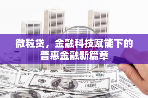 师宗微粒贷，金融科技赋能下的普惠金融新篇章