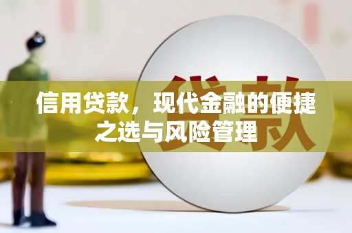 师宗信用贷款，现代金融的便捷之选与风险管理