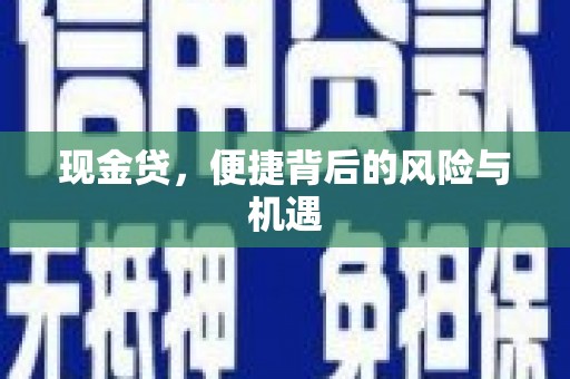 师宗现金贷，便捷背后的风险与机遇