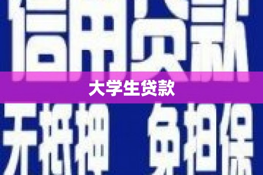 师宗大学生贷款