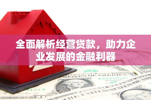 师宗全面解析经营贷款，助力企业发展的金融利器