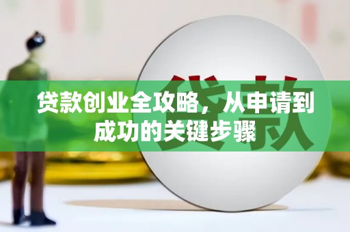 师宗贷款创业全攻略，从申请到成功的关键步骤