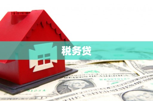 师宗税务贷