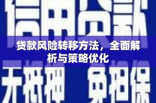 师宗贷款风险转移方法，全面解析与策略优化