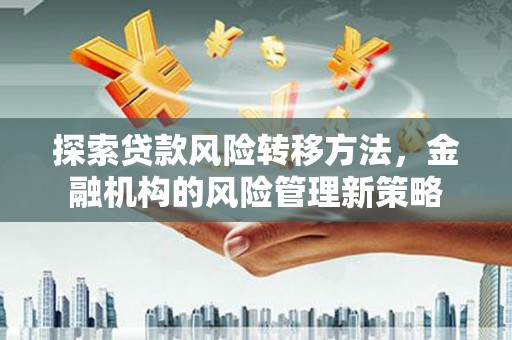 师宗探索贷款风险转移方法，金融机构的风险管理新策略