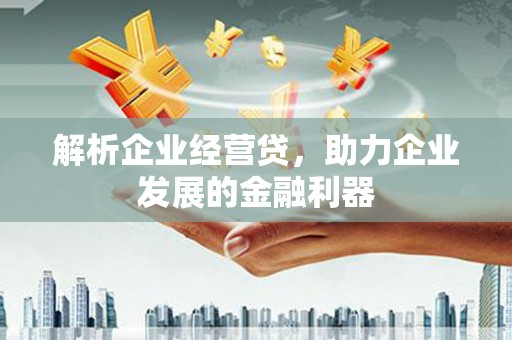 师宗解析企业经营贷，助力企业发展的金融利器