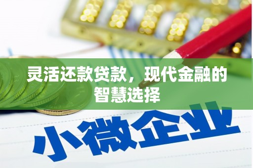 师宗灵活还款贷款，现代金融的智慧选择
