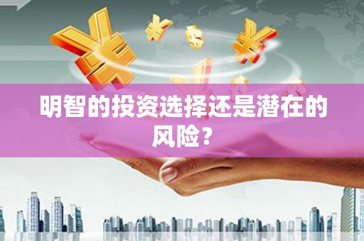 师宗明智的投资选择还是潜在的风险？