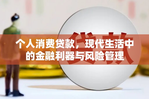 师宗个人消费贷款，现代生活中的金融利器与风险管理
