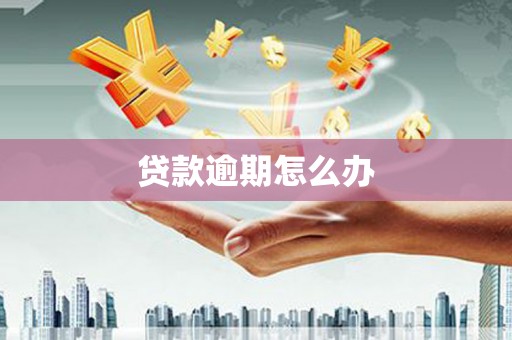 师宗贷款逾期怎么办
