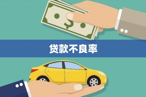 师宗贷款不良率
