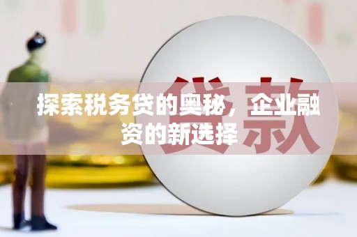 师宗探索税务贷的奥秘，企业融资的新选择