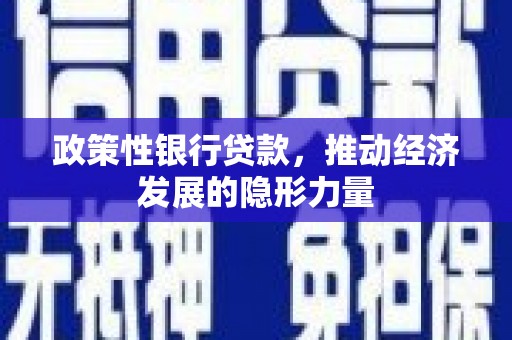 师宗政策性银行贷款，推动经济发展的隐形力量
