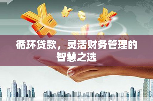 师宗循环贷款，灵活财务管理的智慧之选