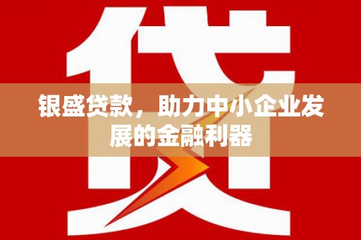 师宗银盛贷款，助力中小企业发展的金融利器