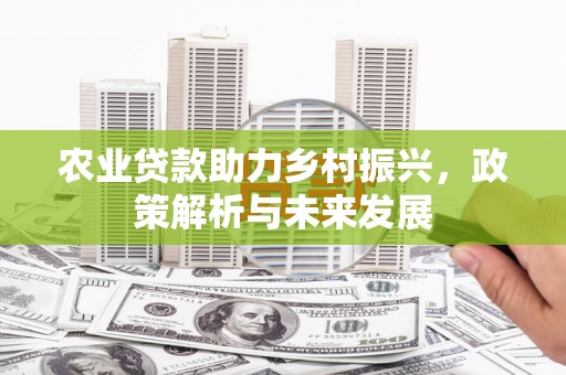 师宗农业贷款助力乡村振兴，政策解析与未来发展
