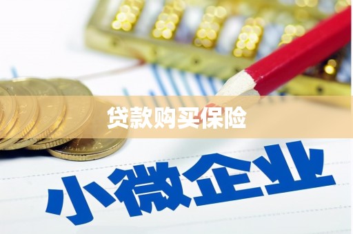师宗贷款购买保险