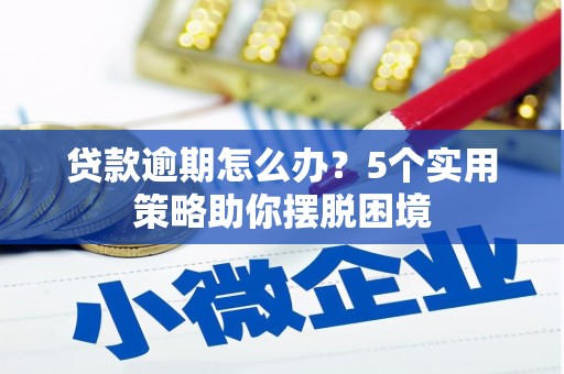 师宗贷款逾期怎么办？5个实用策略助你摆脱困境