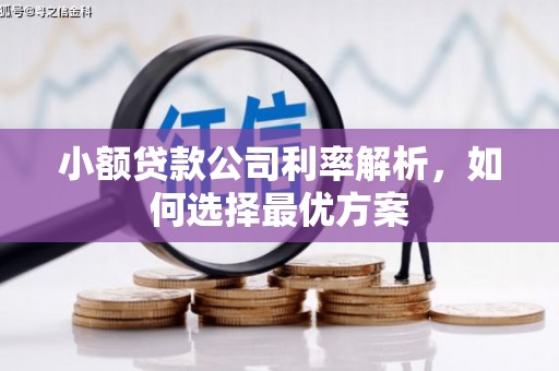 师宗小额贷款公司利率解析，如何选择最优方案
