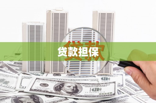 师宗贷款担保
