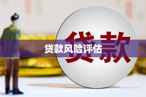 师宗贷款风险评估