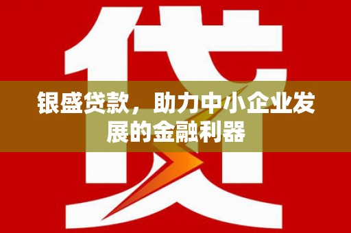 师宗银盛贷款，助力中小企业发展的金融利器