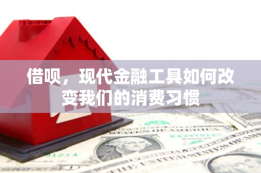 师宗借呗，现代金融工具如何改变我们的消费习惯