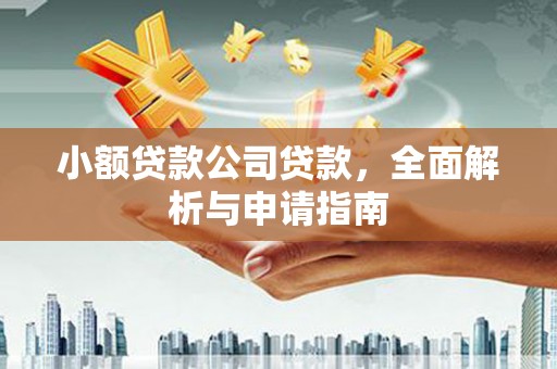 师宗小额贷款公司贷款，全面解析与申请指南