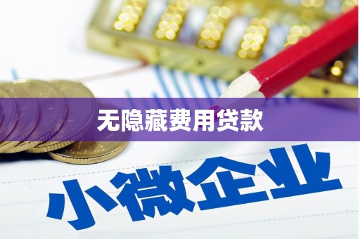 师宗无隐藏费用贷款