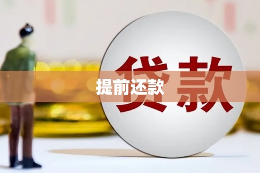 师宗提前还款