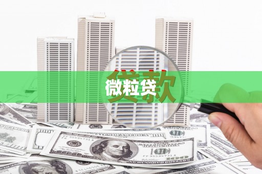 师宗微粒贷
