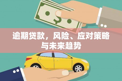 师宗逾期贷款，风险、应对策略与未来趋势