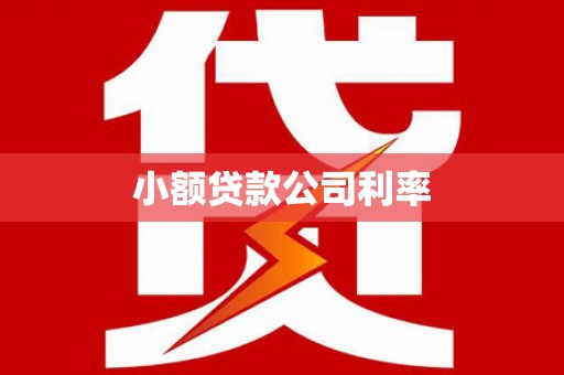 师宗小额贷款公司利率