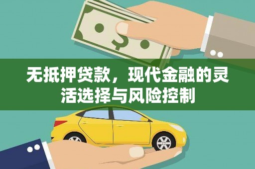 师宗无抵押贷款，现代金融的灵活选择与风险控制