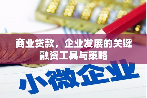 师宗商业贷款，企业发展的关键融资工具与策略