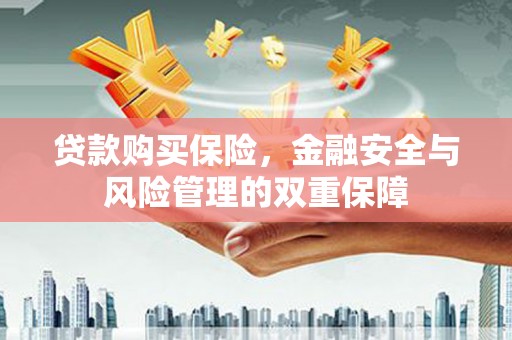 师宗贷款购买保险，金融安全与风险管理的双重保障