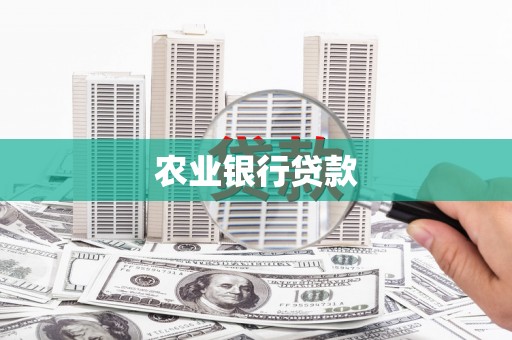 师宗农业银行贷款