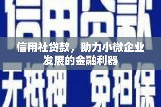师宗信用社贷款，助力小微企业发展的金融利器