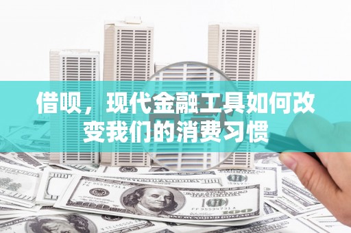 师宗借呗，现代金融工具如何改变我们的消费习惯