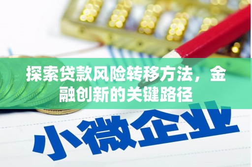 师宗探索贷款风险转移方法，金融创新的关键路径