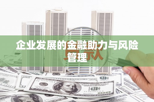 师宗企业发展的金融助力与风险管理