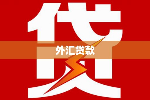师宗外汇贷款