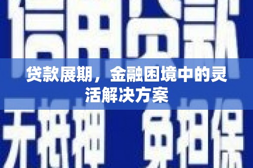 师宗贷款展期，金融困境中的灵活解决方案