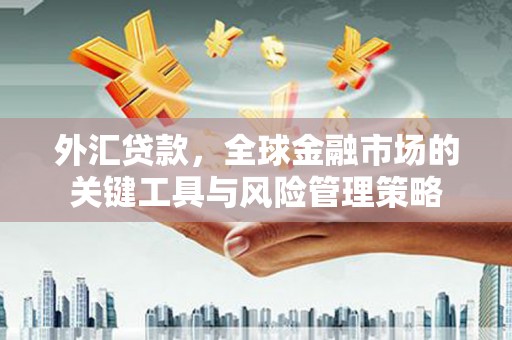 师宗外汇贷款，全球金融市场的关键工具与风险管理策略