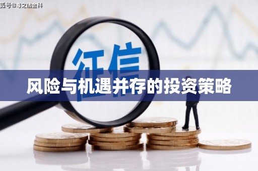 师宗风险与机遇并存的投资策略
