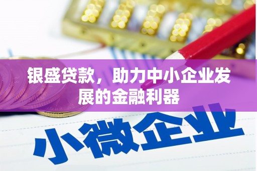 师宗银盛贷款，助力中小企业发展的金融利器